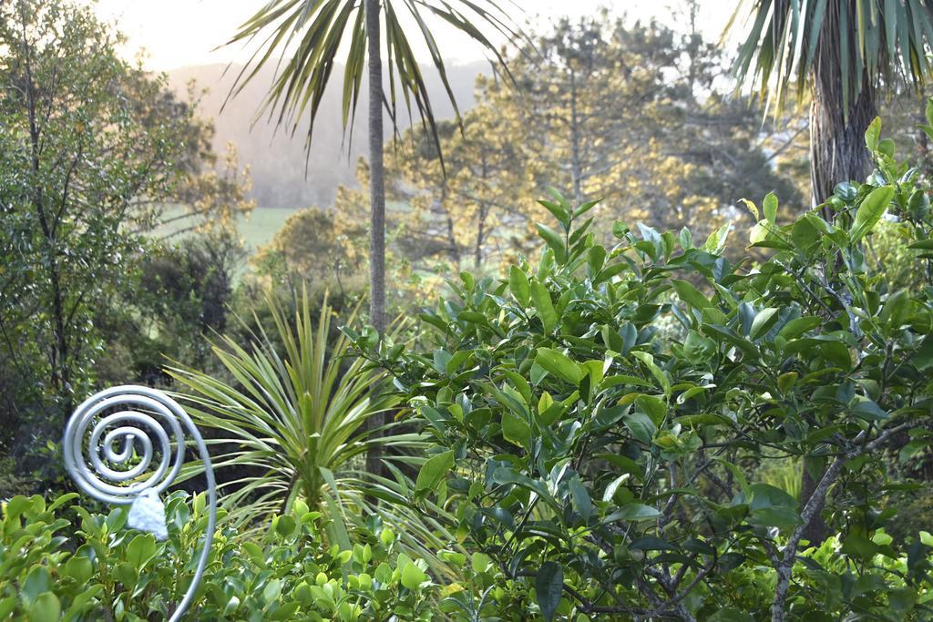 Ponga Eco-Lodge Hahei Bagian luar foto