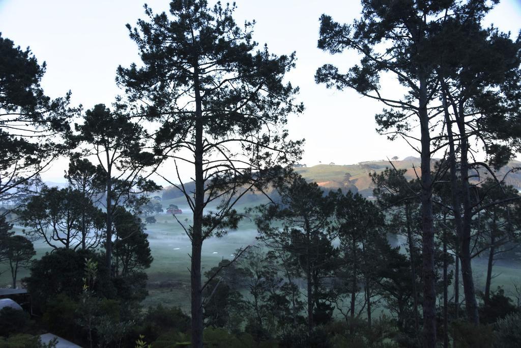 Ponga Eco-Lodge Hahei Bagian luar foto